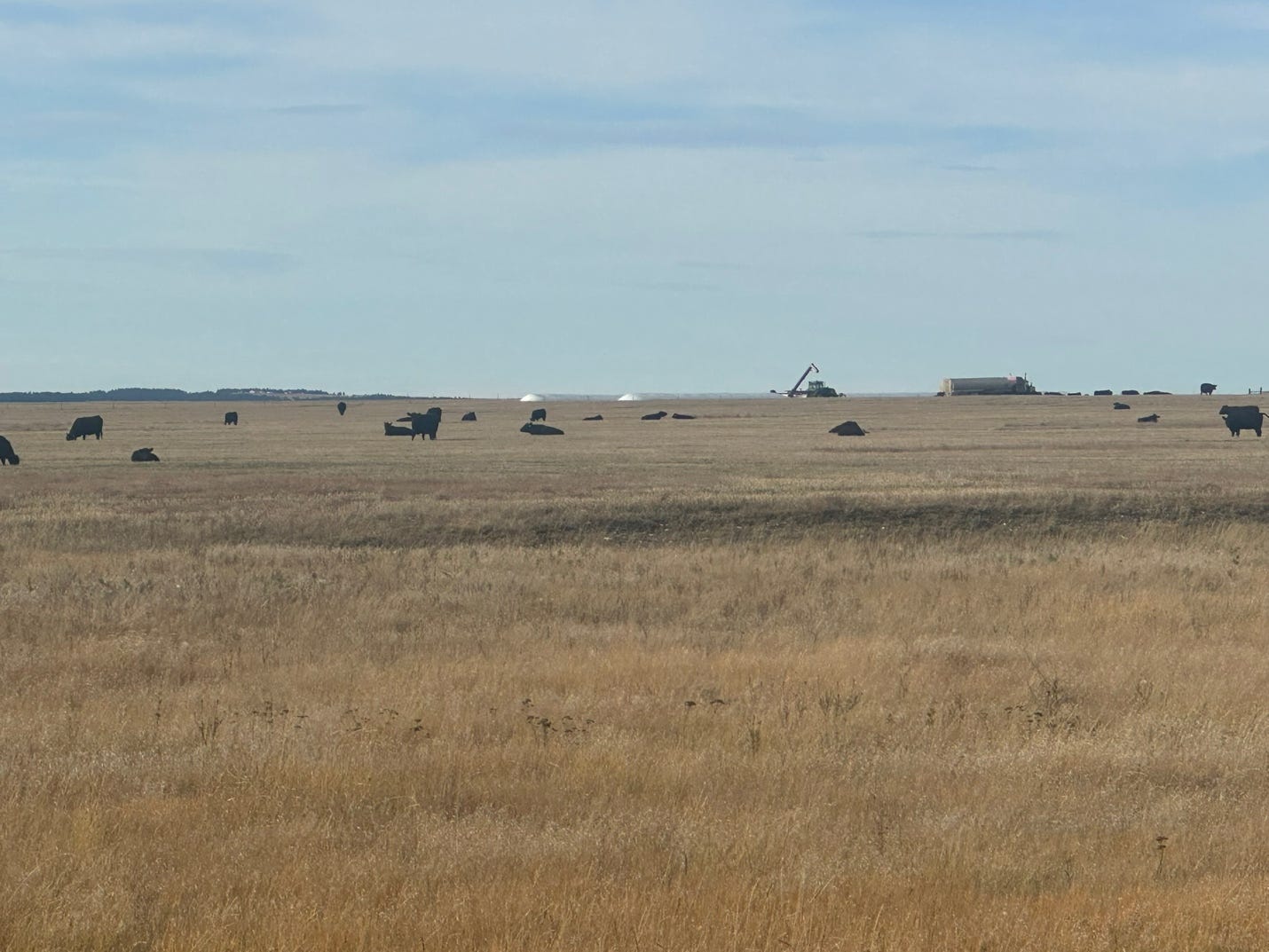 Tariffs Hurt Montana